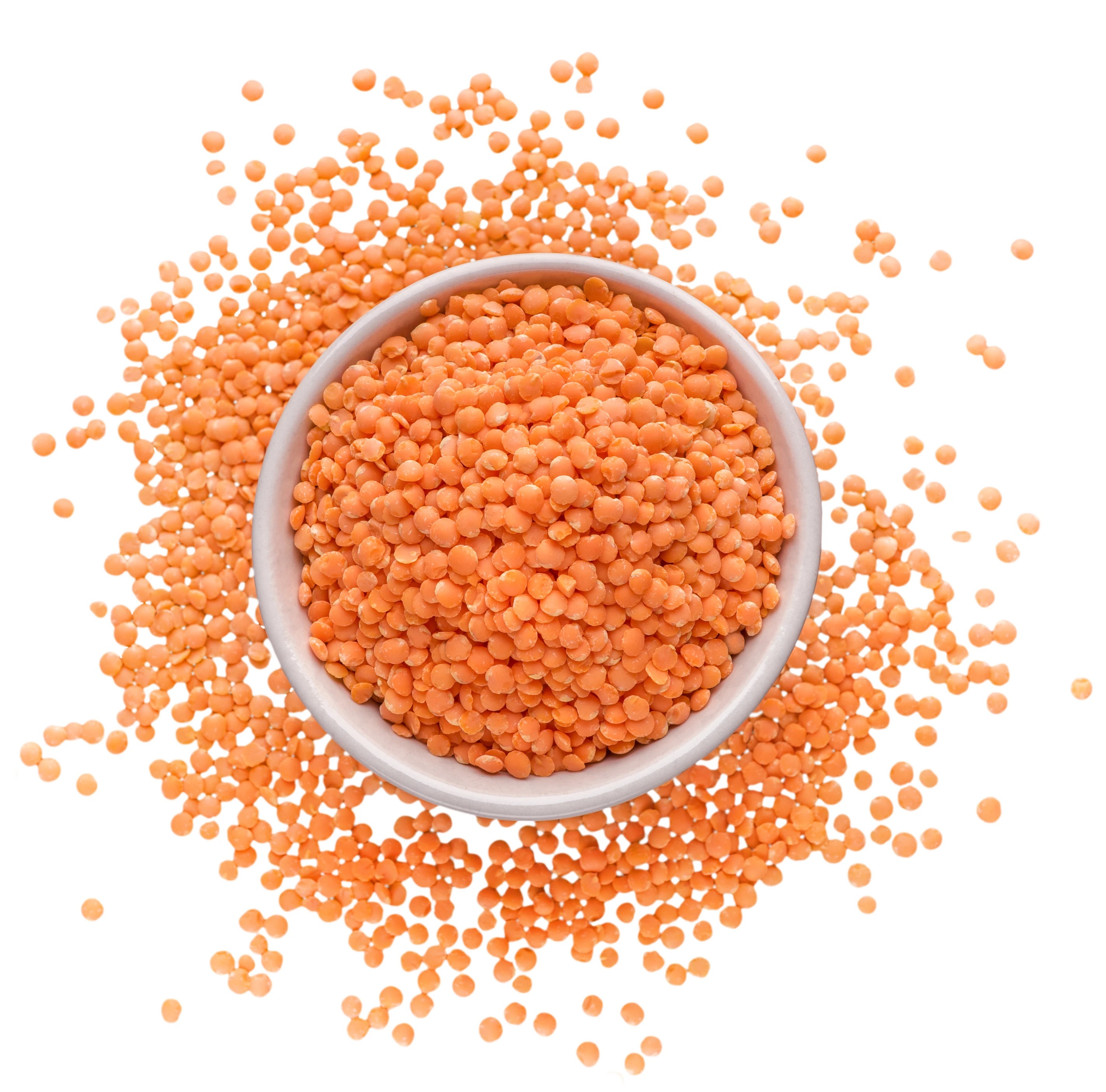 Red Lentils