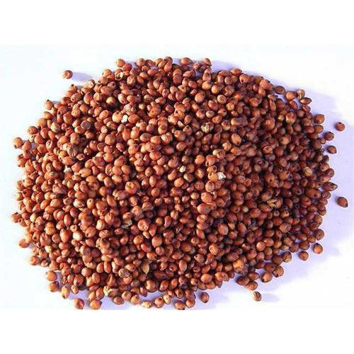 Red Sorghum Seeds