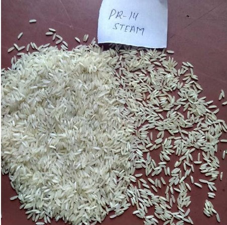 PR 14 Steam Rice