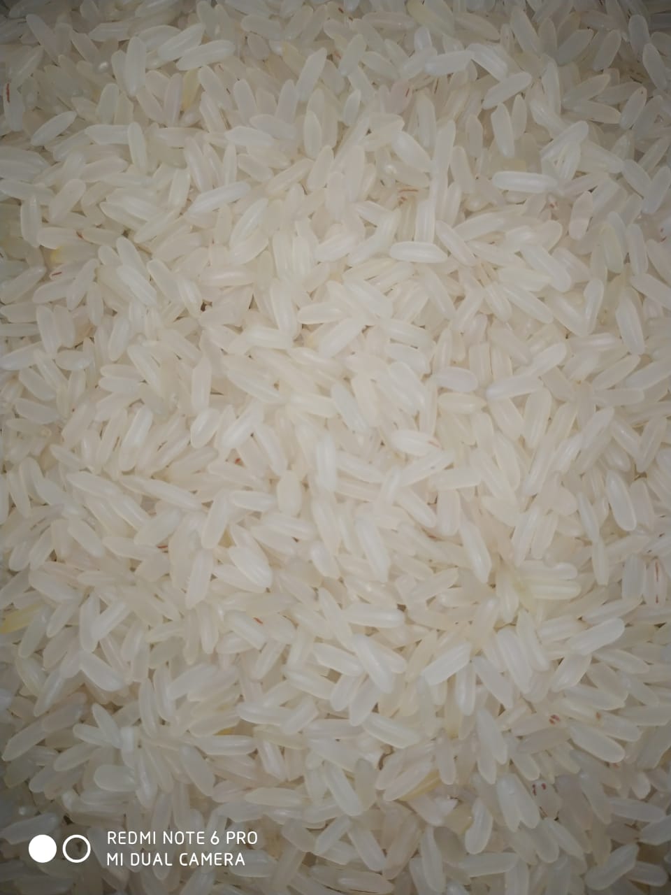 IR 64 5% Broken Sella Rice