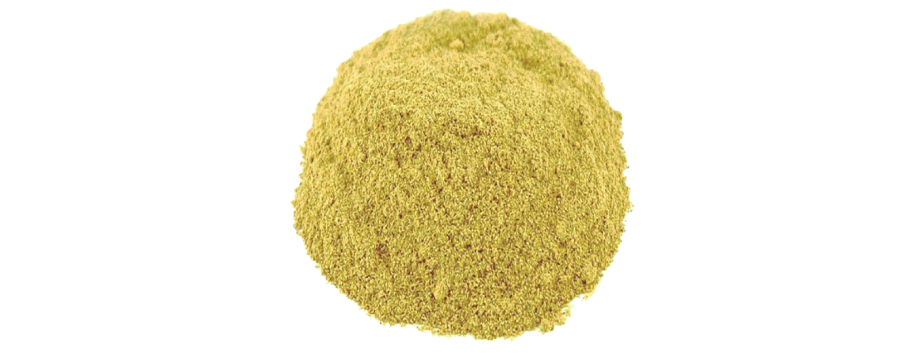 Coriander Powder