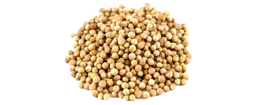 Coriander Seeds