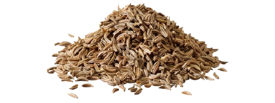 Cumin Seeds