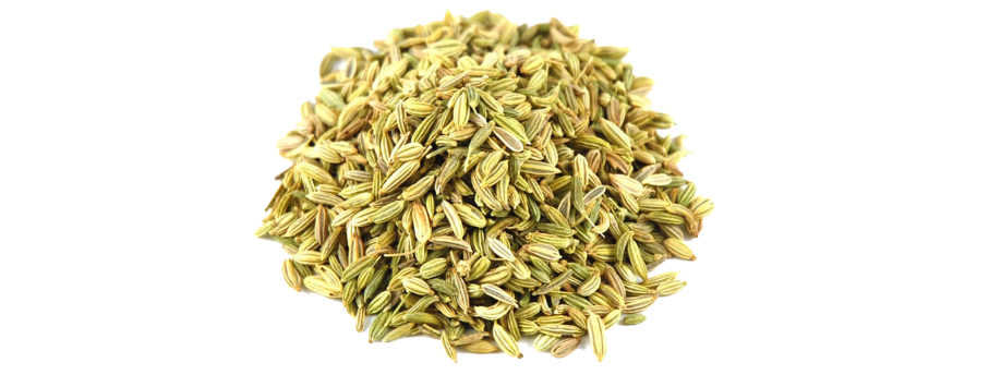 Fennel Seeds