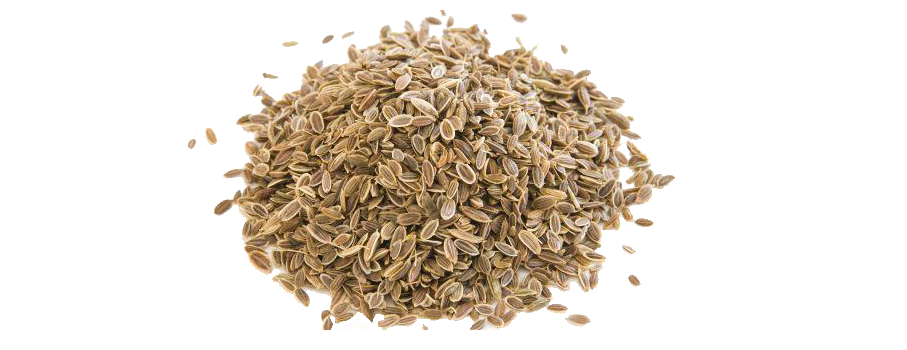 Dill Seeds