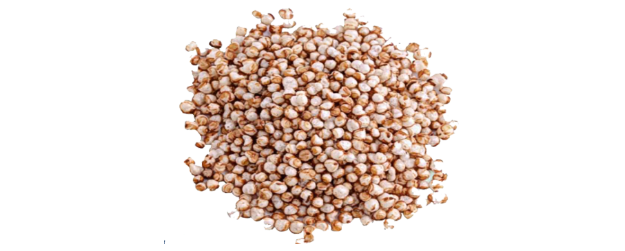 Sorghum Seeds