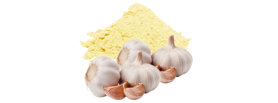 Garlic Powder